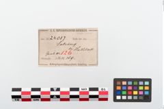 Etikett zu Eisenärmchenbeil (NHMW-PRAE-024087)